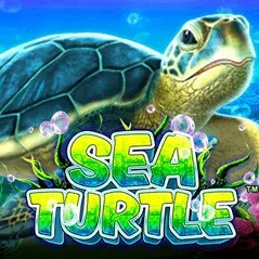 Sea Turtle